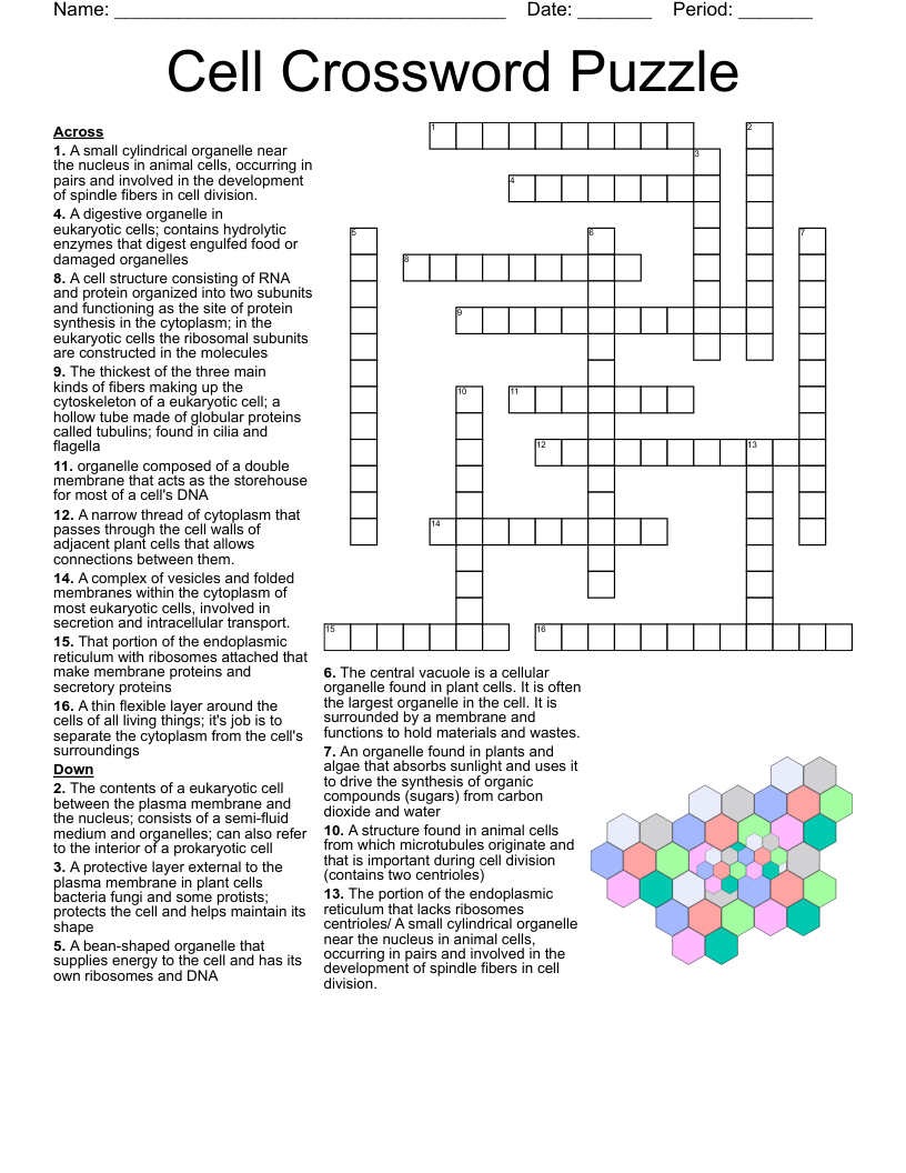 10 Organelle Crossword Puzzle WordMint 10 Organelle Crossword Puzzle WordMint