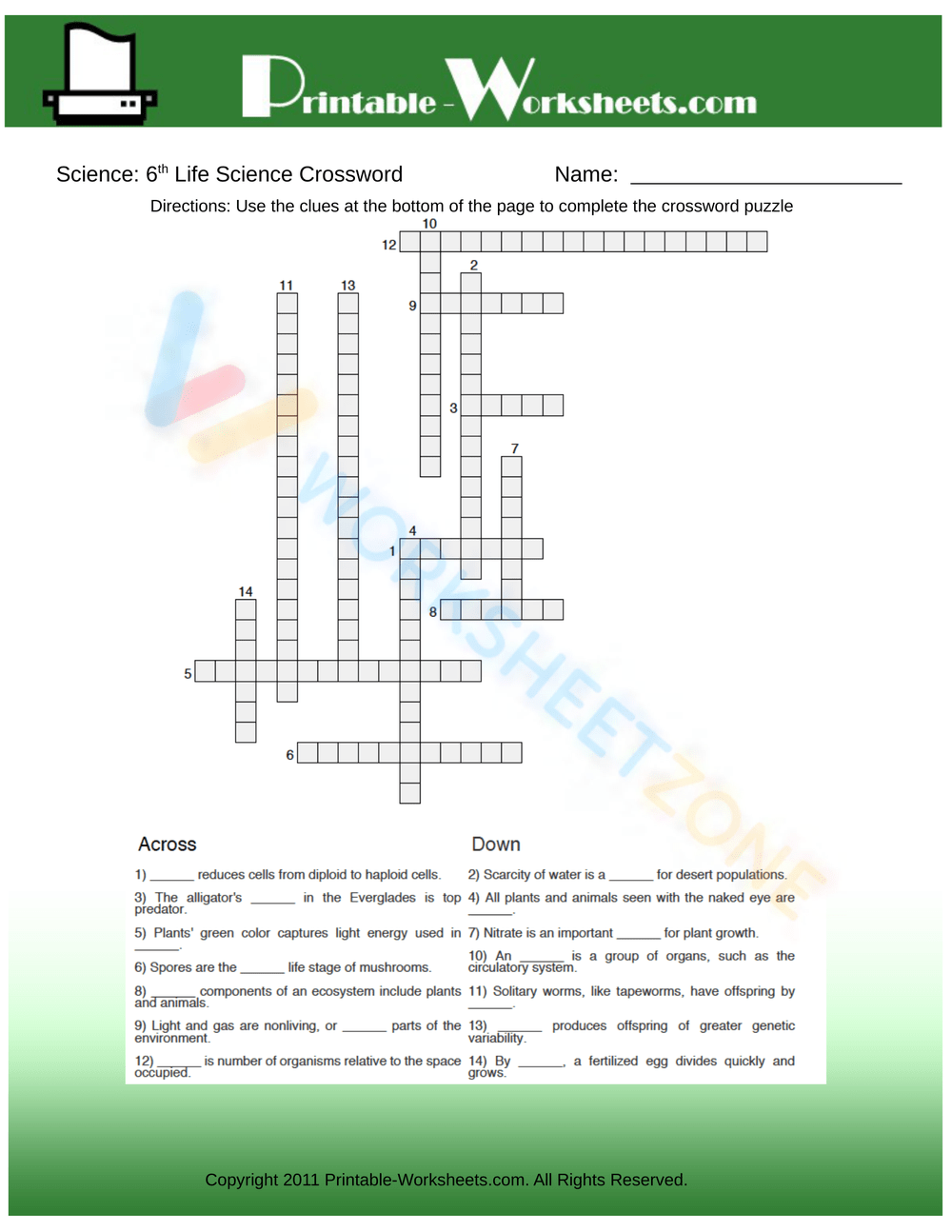 6th Grade Science Worksheets 2025