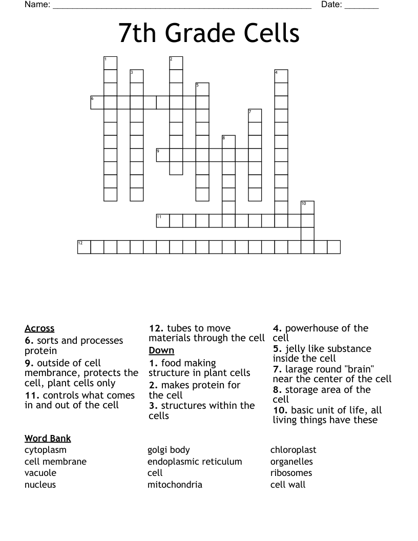 Cells Crossword Puzzle Worksheet