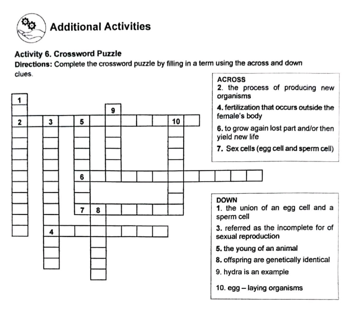 Additional Activities Activity 6 Crossword StudyX
