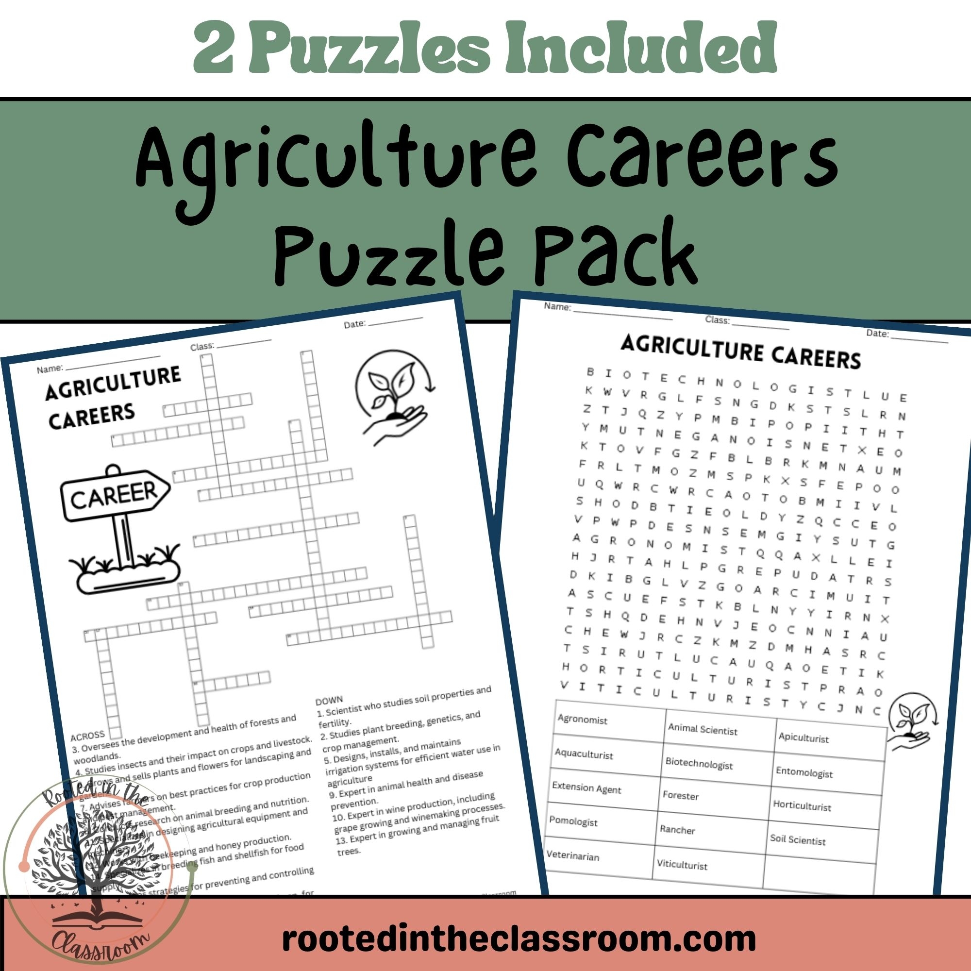 Career Crossword Puzzle Worksheets Answers