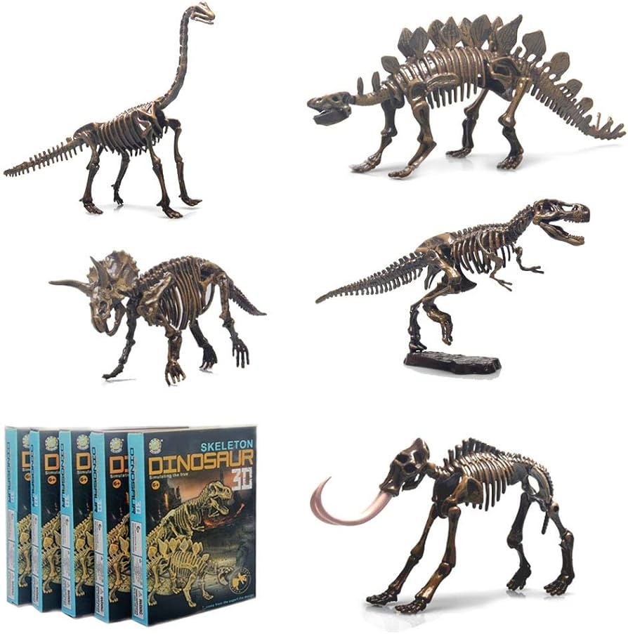 Amazon 5 Different Dinosaur Skeleton Puzzles Model Set 3D Puzzles For Adults DIY Skeleton Dinosaur Toys For Kids Ages 6 And Up Toys U0026 Games Amazon 5 Different Dinosaur Skeleton Puzzles Model Set 3D Puzzles For Adults DIY Skeleton Dinosaur Toys For Kids Ages 6 And Up Toys U0026 Games