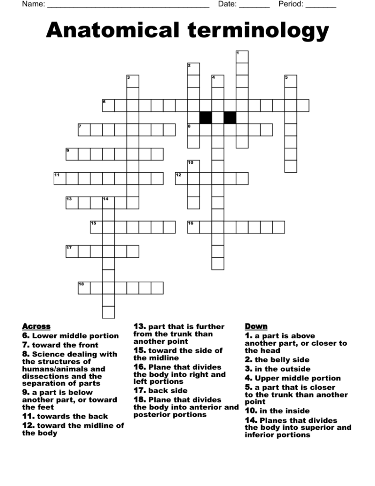 Anatomical Terminology Crossword WordMint
