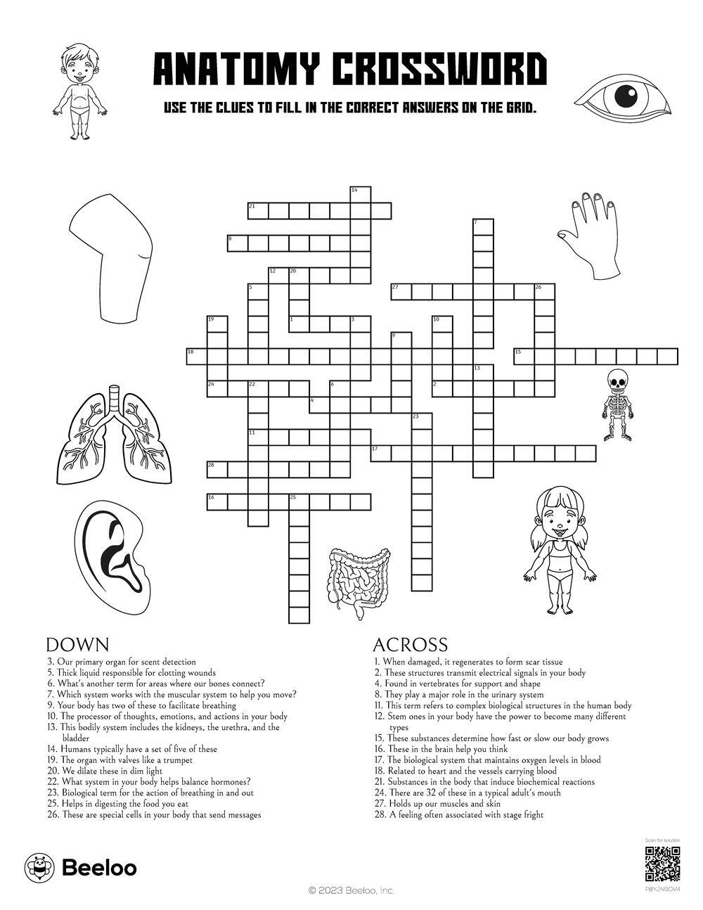 Anatomy Crossword Beeloo Printable Crafts And Activities For Kids Anatomy Crossword Beeloo Printable Crafts And Activities For Kids