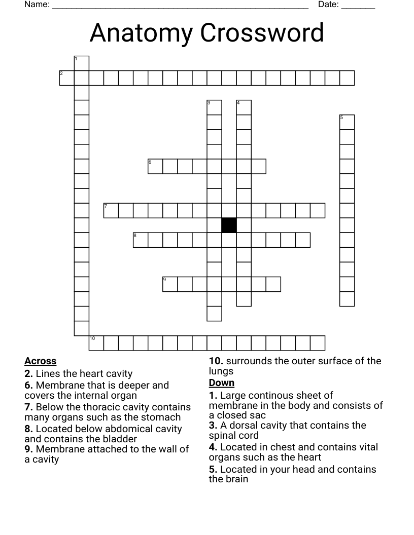 Anatomy Crossword WordMint Anatomy Crossword WordMint