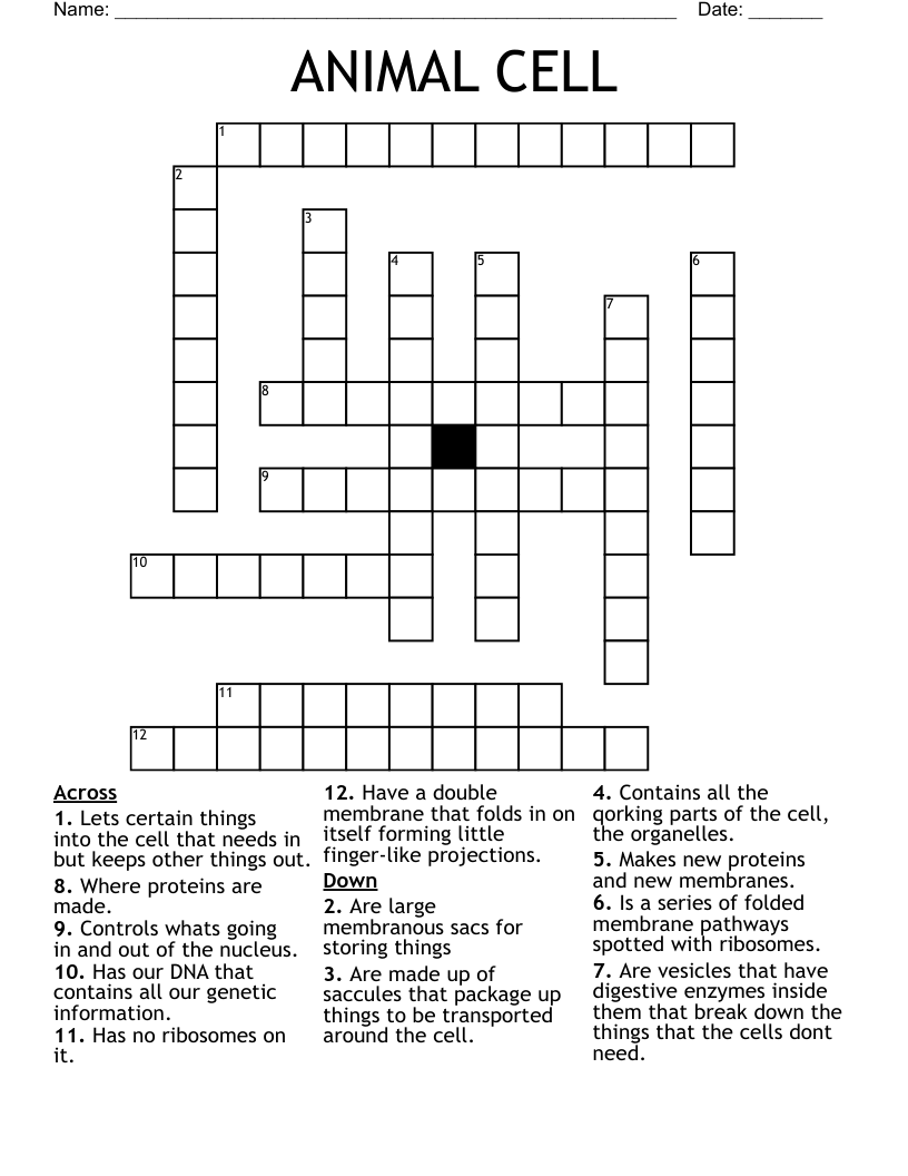ANIMAL CELL Crossword WordMint ANIMAL CELL Crossword WordMint