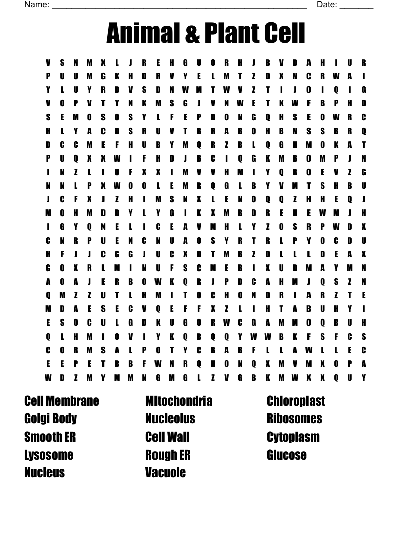 Animal U0026 Plant Cell Word Search WordMint Animal U0026 Plant Cell Word Search WordMint