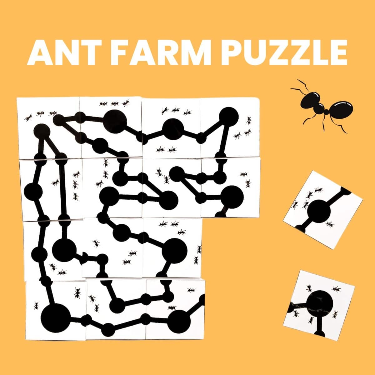 Ant Farm Puzzle Math U003d Love
