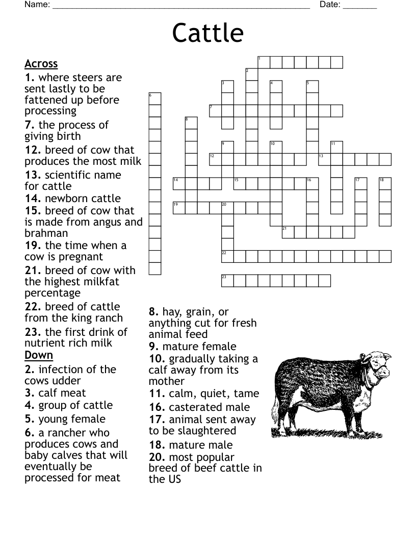 Beef Bovine Crossword WordMint