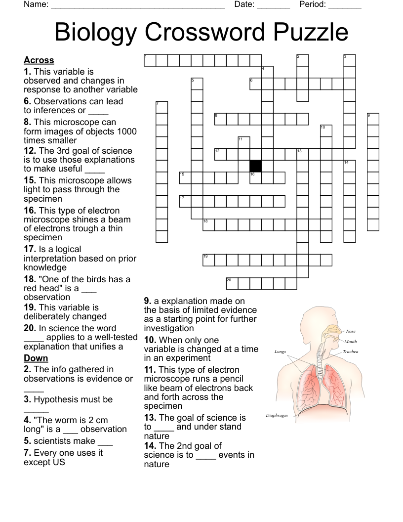 Crossword Puzzles For Science