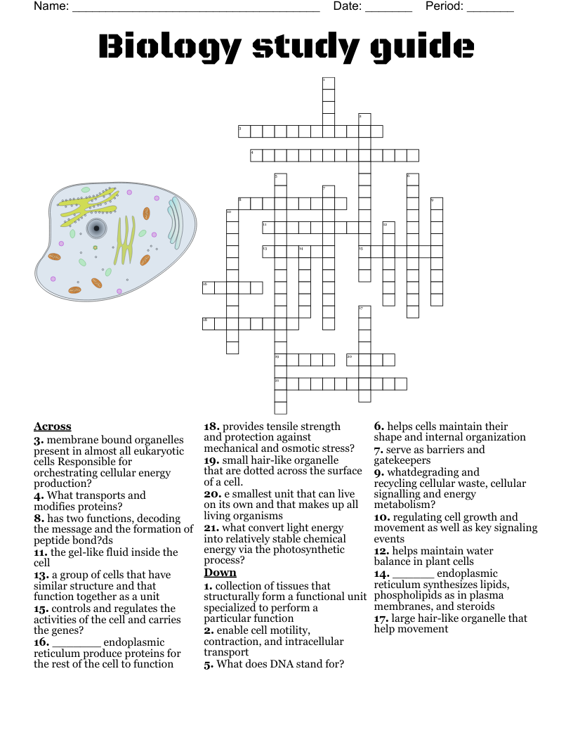 Biology Study Guide Crossword WordMint
