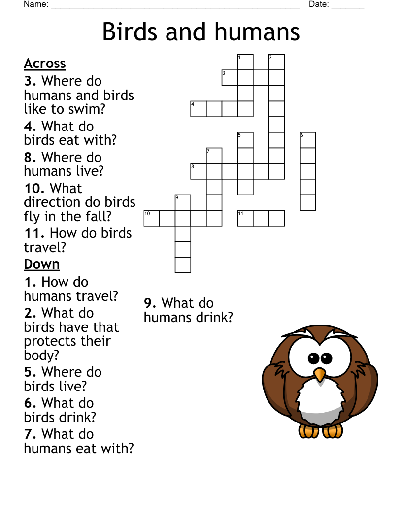 Bird Crossword WordMint
