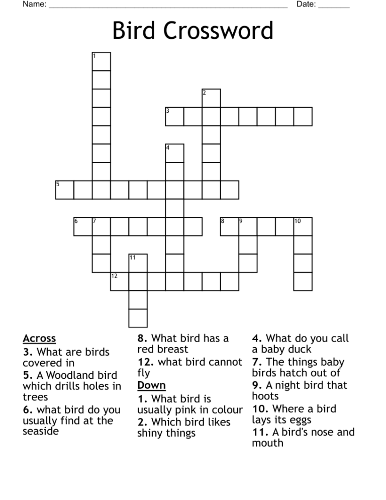 Bird Crossword WordMint