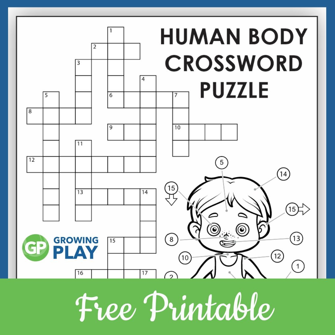 Human Body Crossword Puzzle Printable