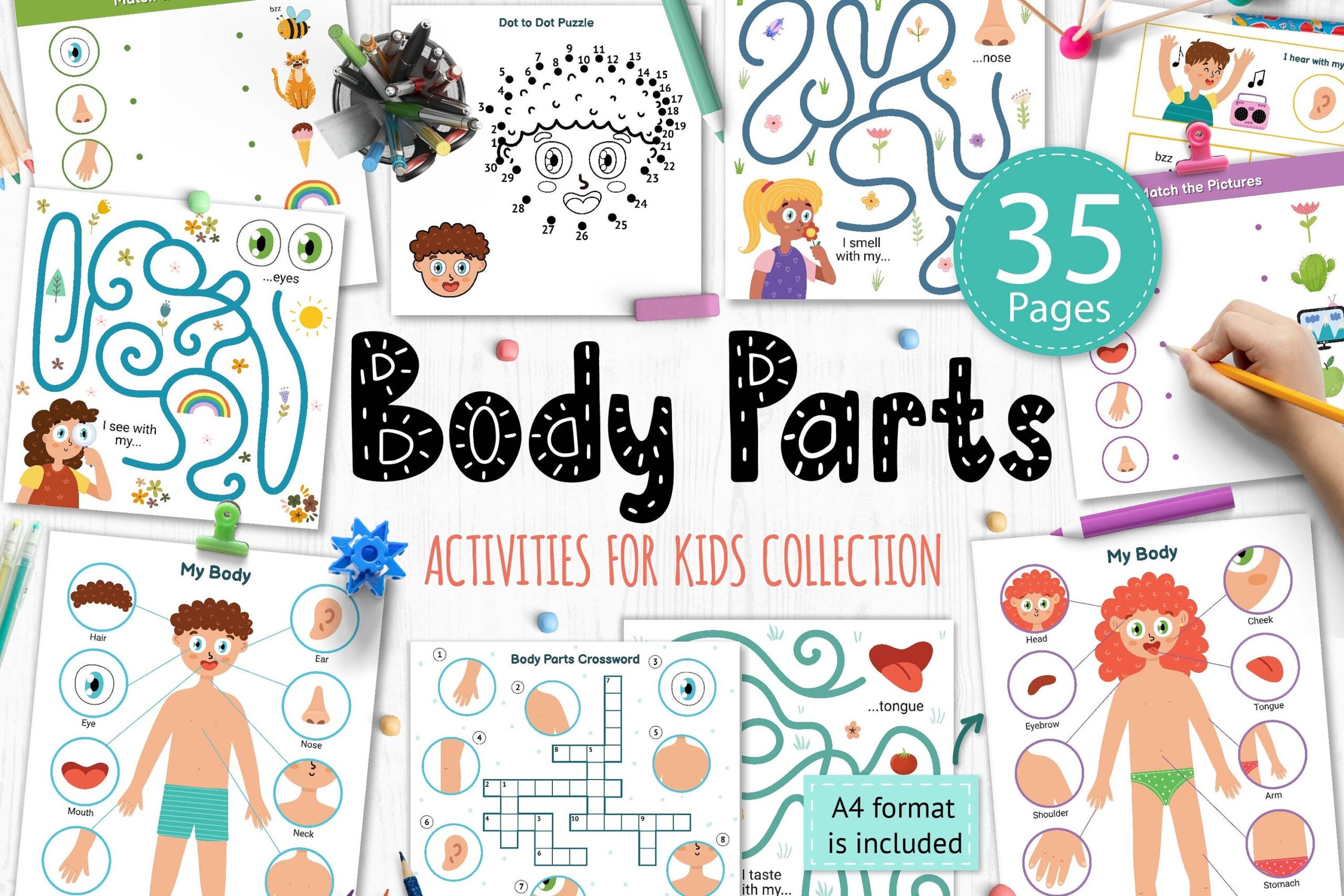 Body Parts Activity Book Pdf My Body Activity Pages Printable Maze Puzzle Dot To Dot For Kids Crossword Body Parts Learning Binder Etsy