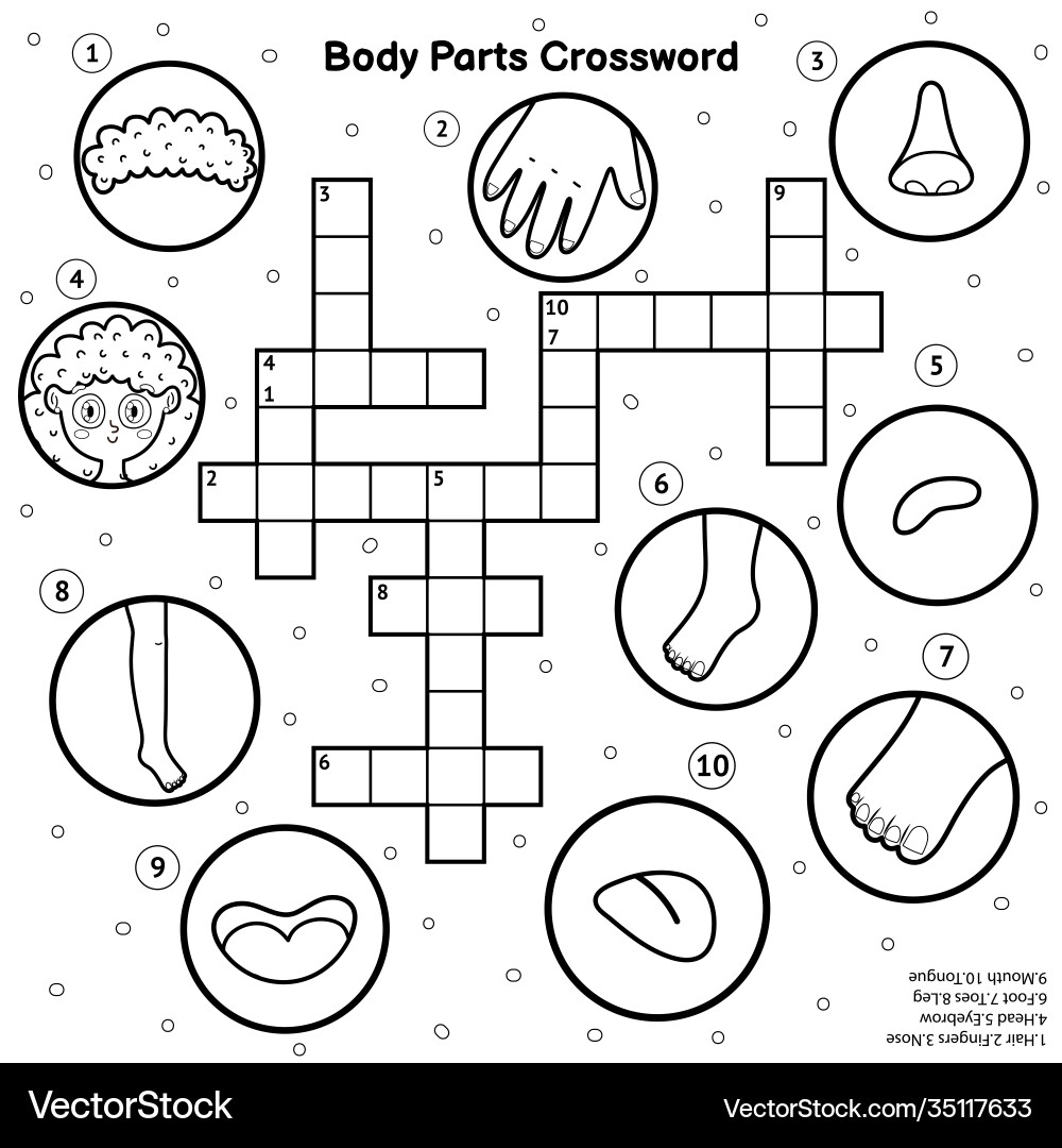 Body Parts Crossword Puzzle Kids Royalty Free Vector Image