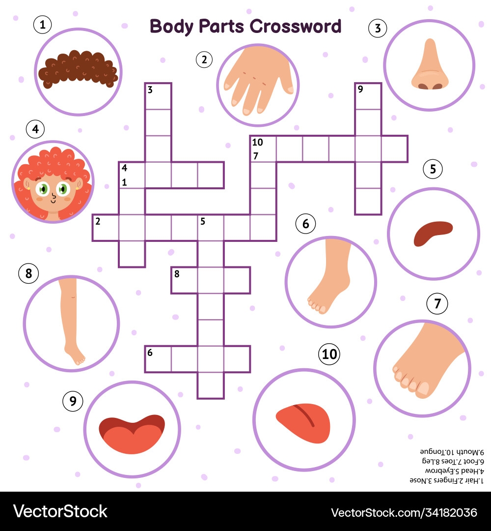 Body Parts Crossword With Head Hair Fingers Vector Image