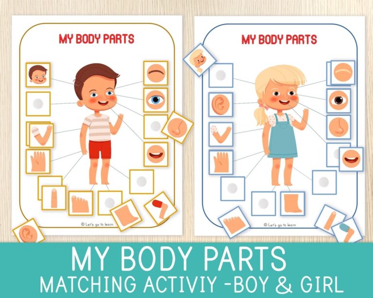 Body Parts Matching Activity Human Body Game Toddler U0026 Preschool Worksheets For Kids Busy Book Pages Homeschool Educational Game Etsy