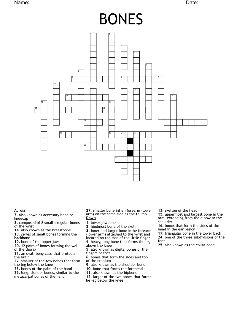 BONES Crossword WordMint BONES Crossword WordMint