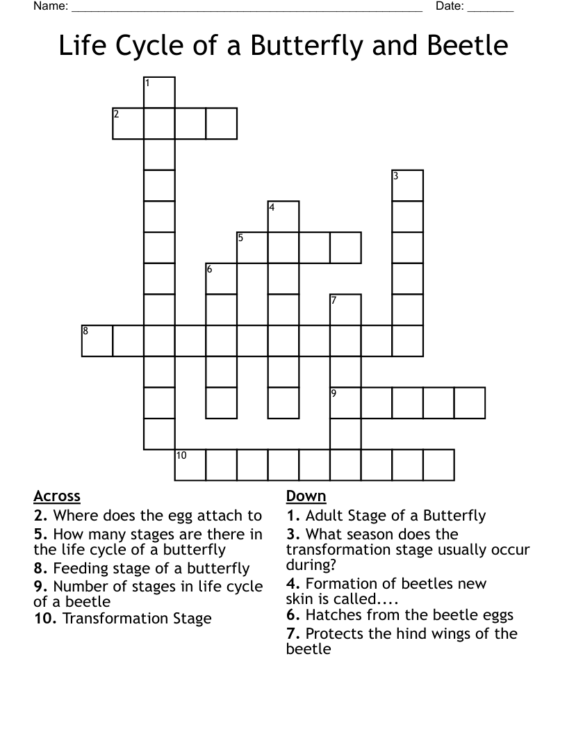 Butterfly Life Cycle Crossword WordMint Butterfly Life Cycle Crossword WordMint