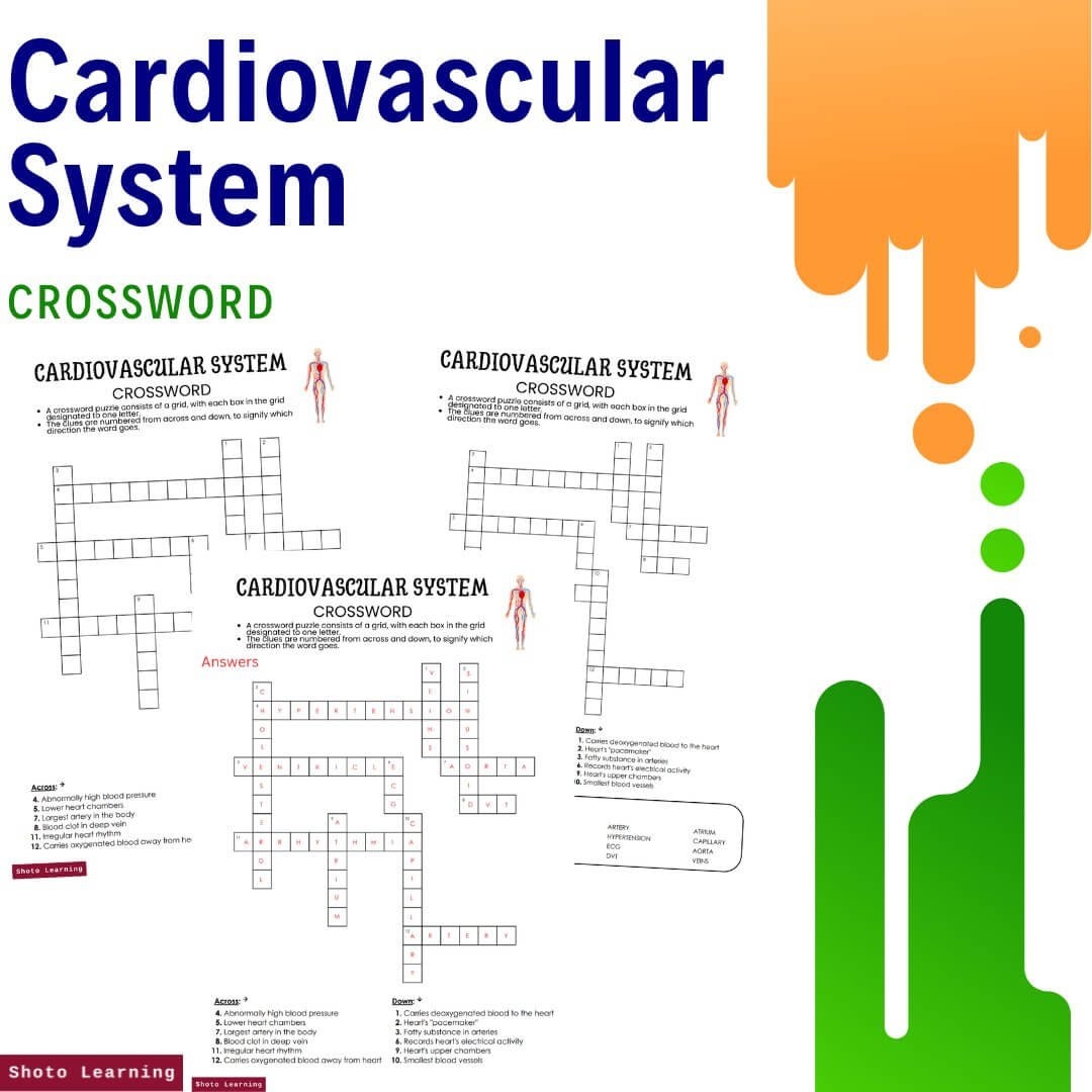 Cardiovascular System Crossword Learn About Hearts U0026 Arteries