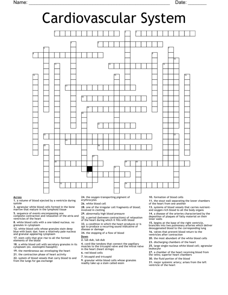 Cardiovascular System Crossword WordMint