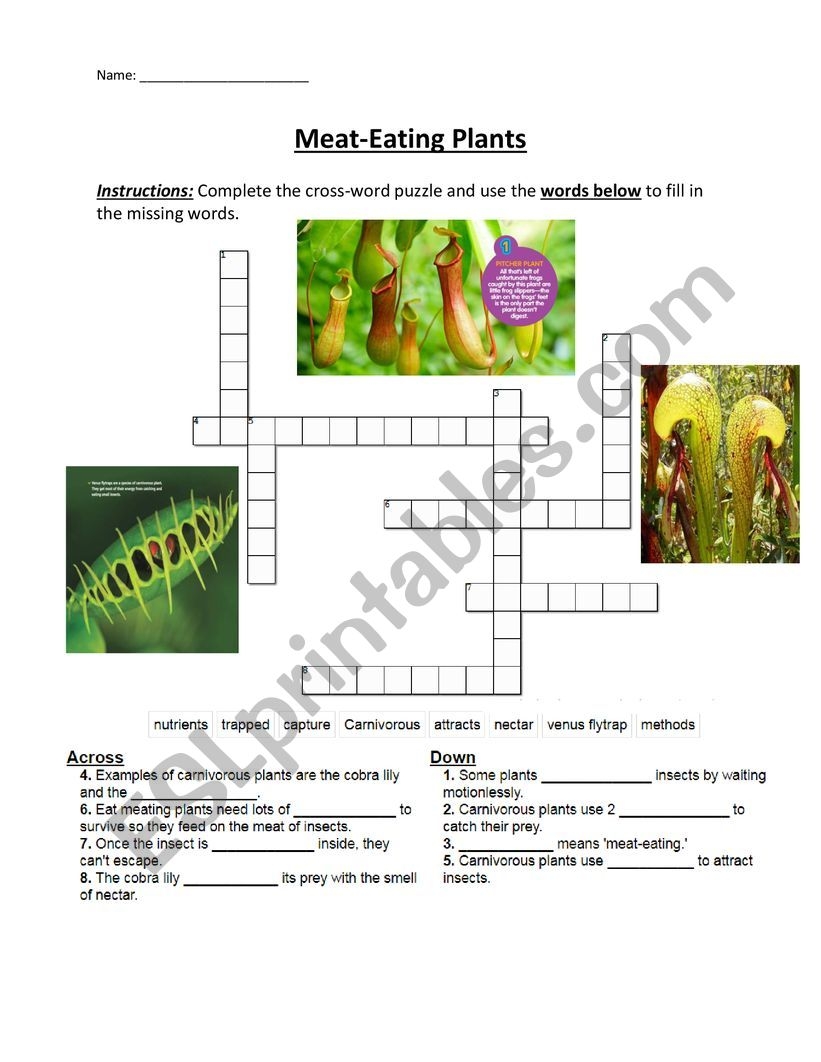 Carnivorous Plants CROSSWORD PUZZLE ESL Worksheet By Abbygail