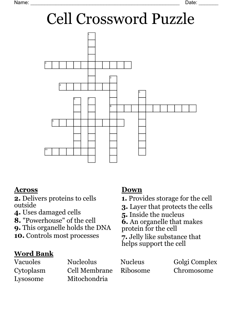 Cell Crossword Puzzle WordMint