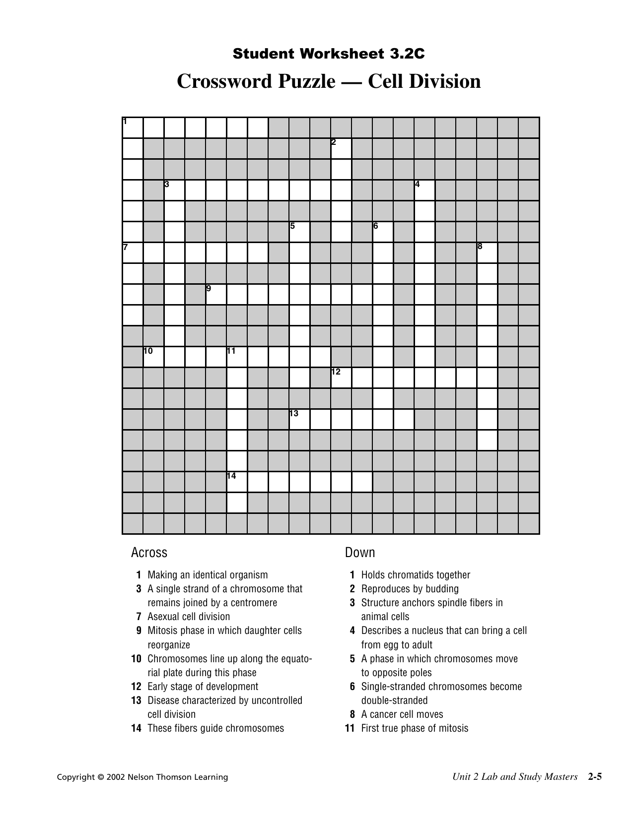 Cell Division Crossword Puzzle Worksheet Cell Division Crossword Puzzle Worksheet