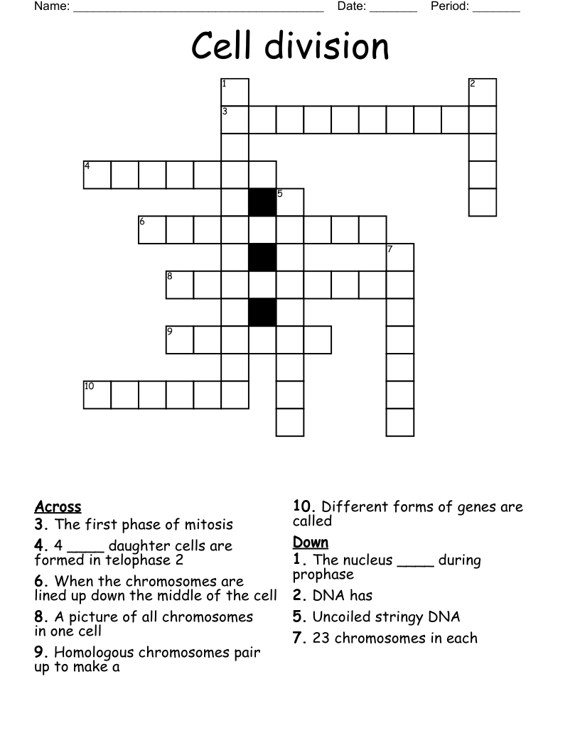 Cell Division Crossword Puzzle Worksheet Answers Cell Division Crossword Puzzle Worksheet Answers
