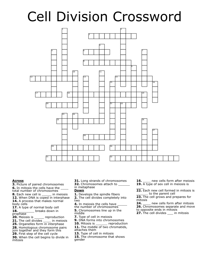 Cell Division Crossword WordMint Cell Division Crossword WordMint