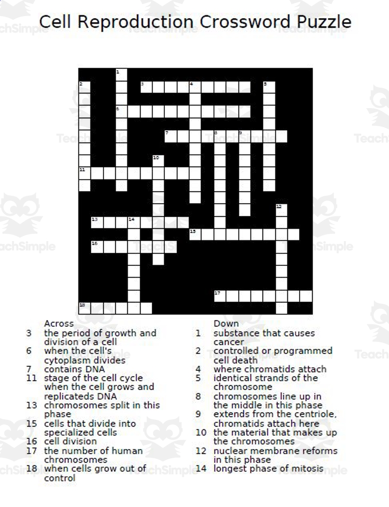 Cell Reproduction Crossword Puzzle Cell Reproduction Crossword Puzzle