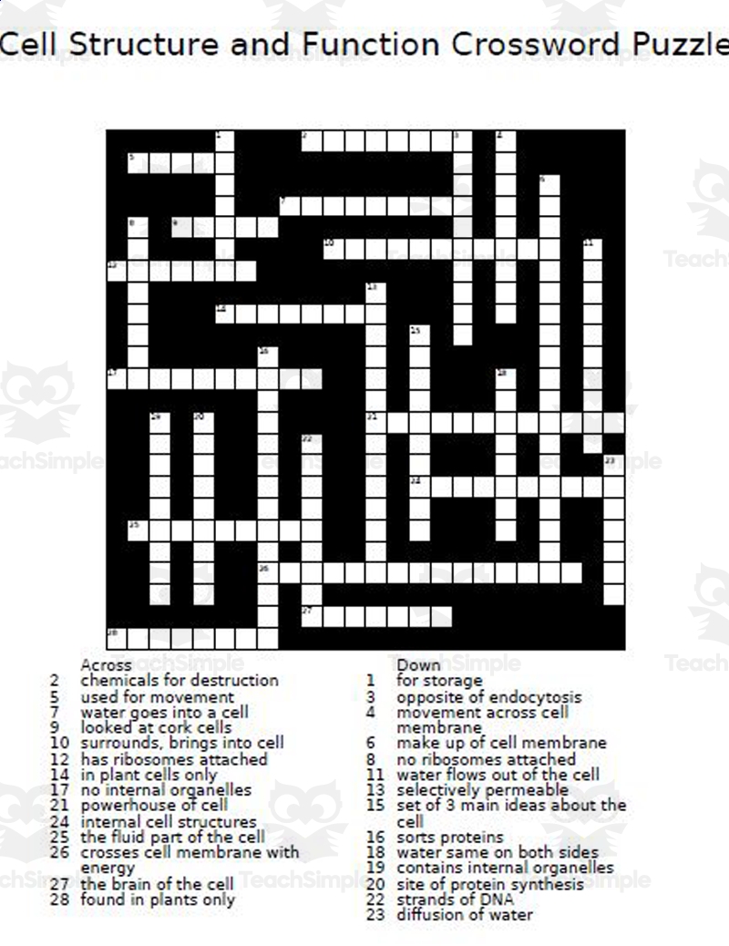 Cell Structure And Function Crossword Puzzle Cell Structure And Function Crossword Puzzle