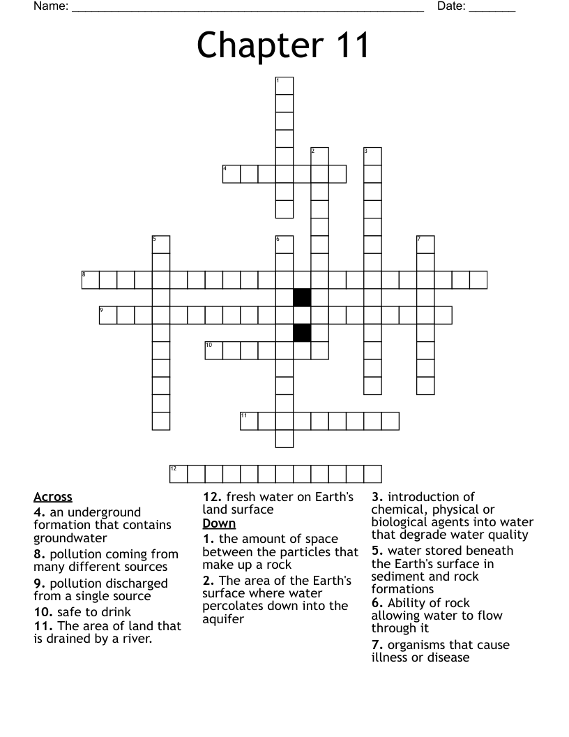 Chapter 11 Crossword WordMint
