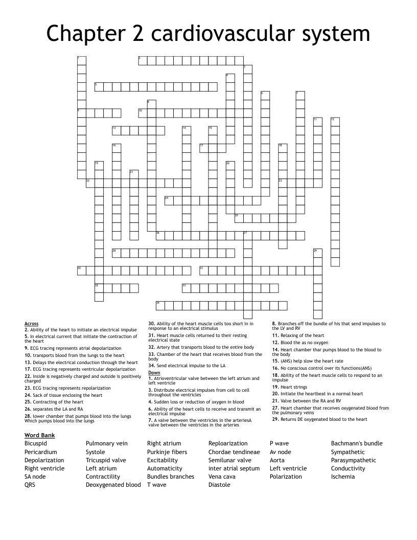 Chapter 2 Cardiovascular System Crossword WordMint