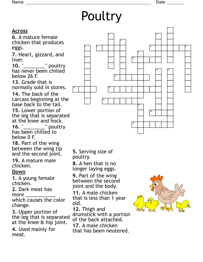 Chicken Crossword WordMint Chicken Crossword WordMint