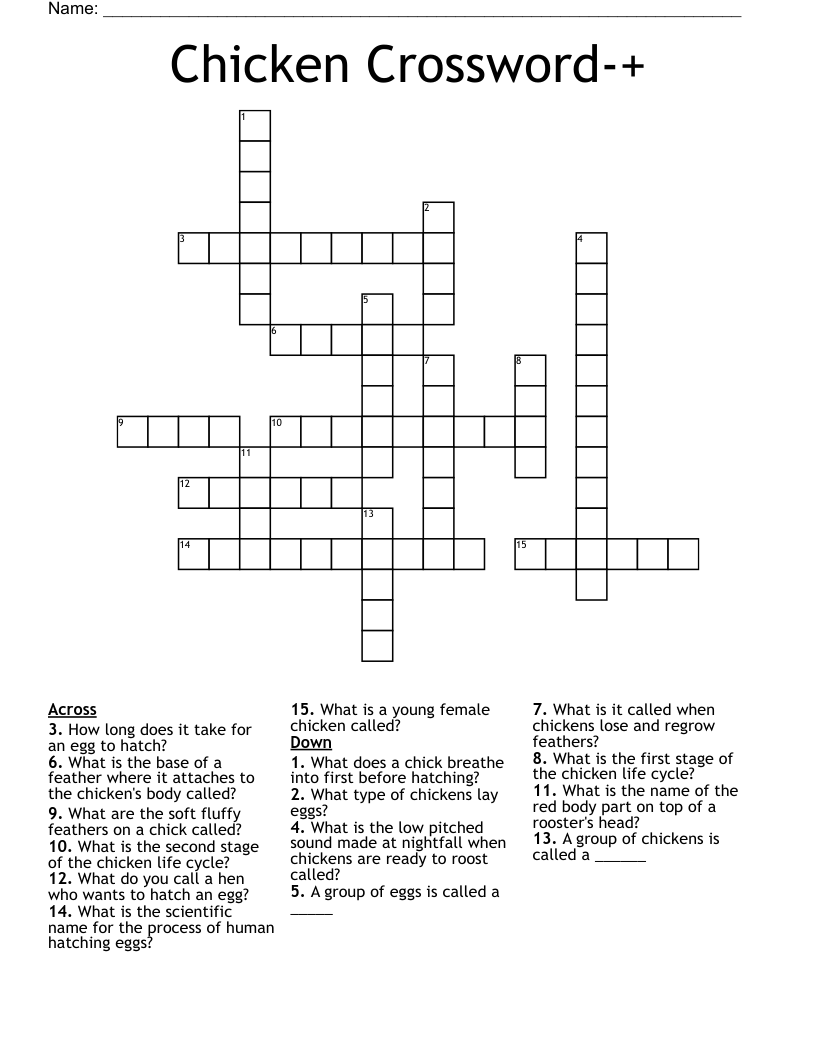 Chicken Crossword WordMint Chicken Crossword WordMint