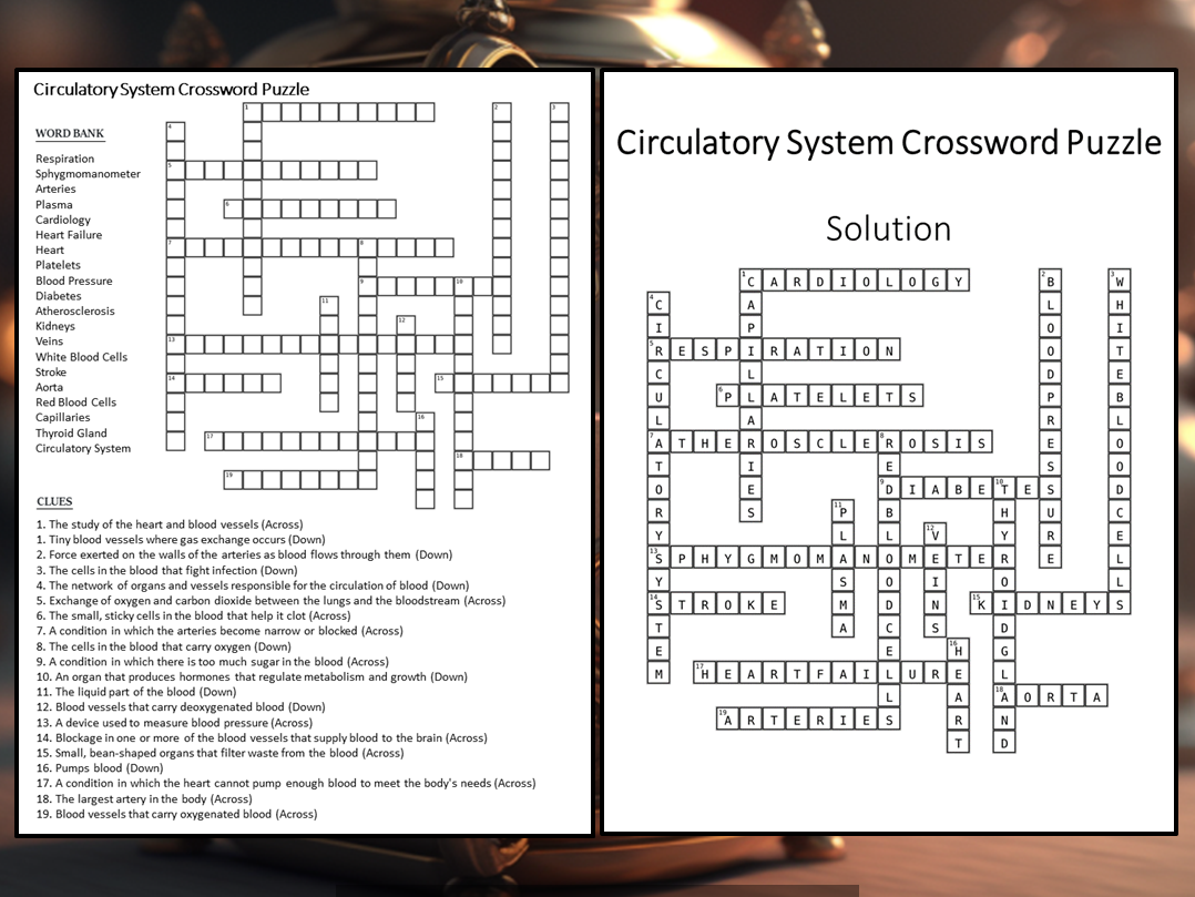 Circulatory System Crossword Puzzle Worksheet Activity Teaching Resources