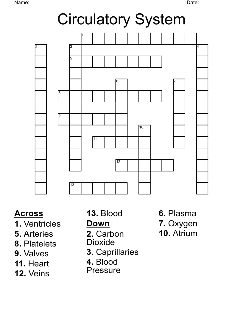 Circulatory System Crossword WordMint