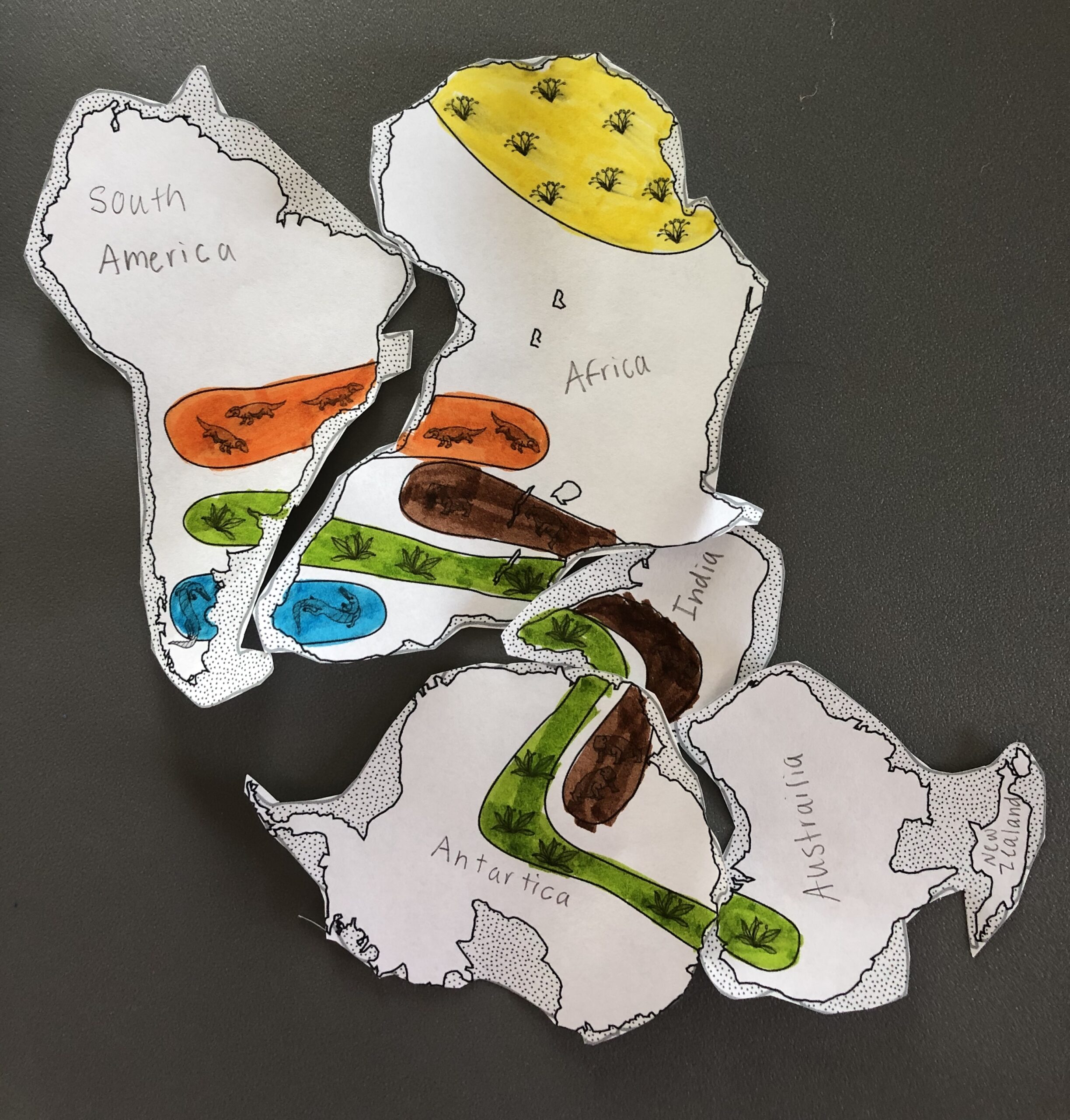 Continental Drift Pangea Puzzle Activity Middle School Science Lessons Continental Drift Pangea Puzzle Activity Middle School Science Lessons