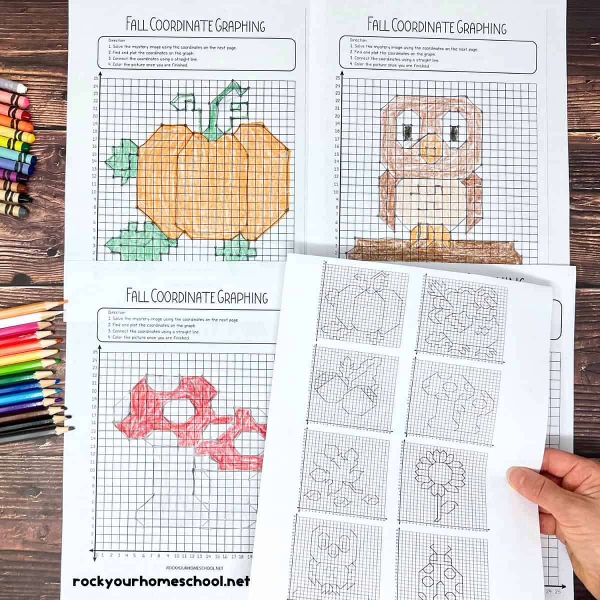 Coordinate Graphing Pictures How To Use For Fall Fun Free Rock Your Homeschool