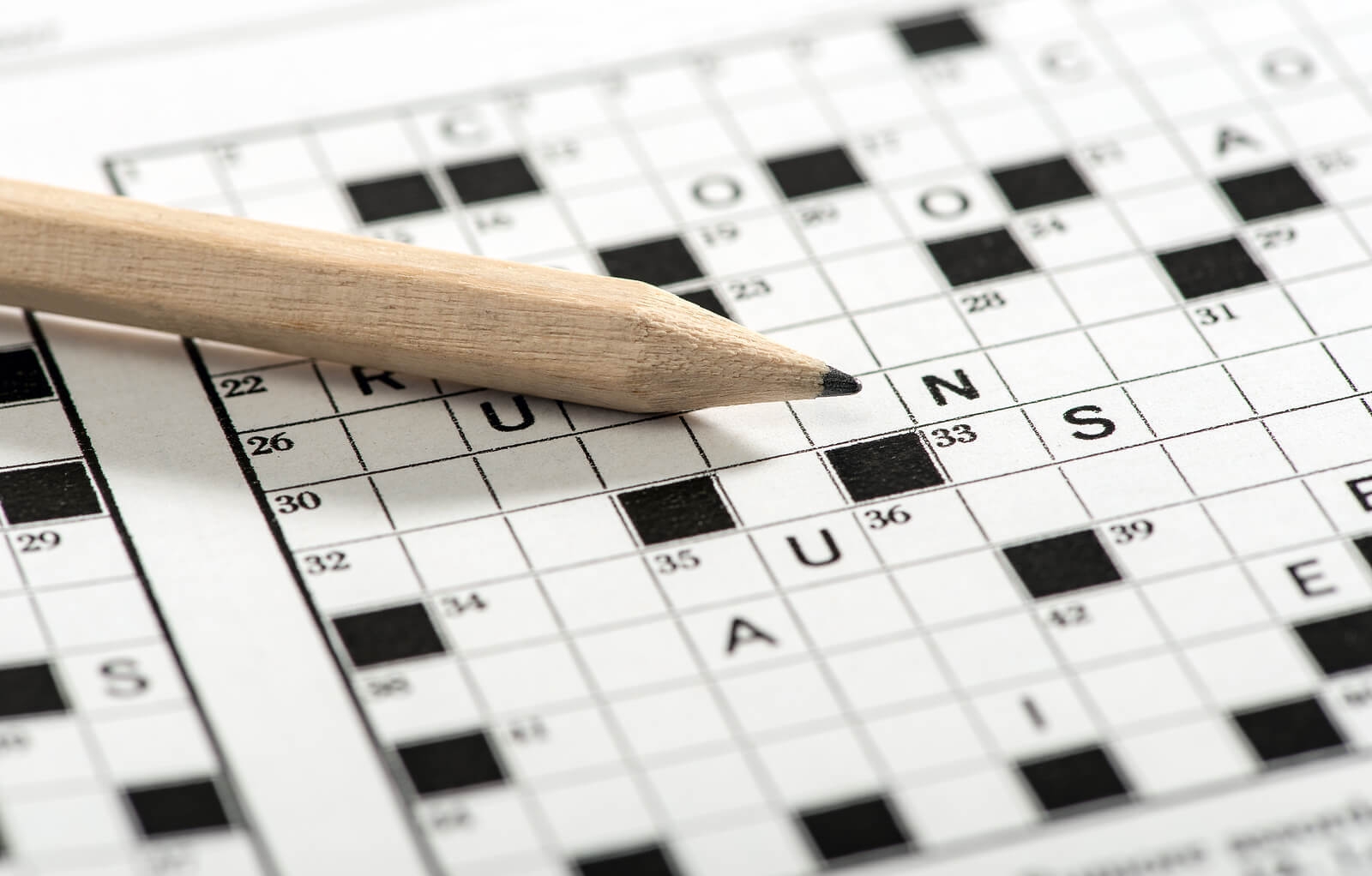 Crossword Puzzles Resources Surfnetkids