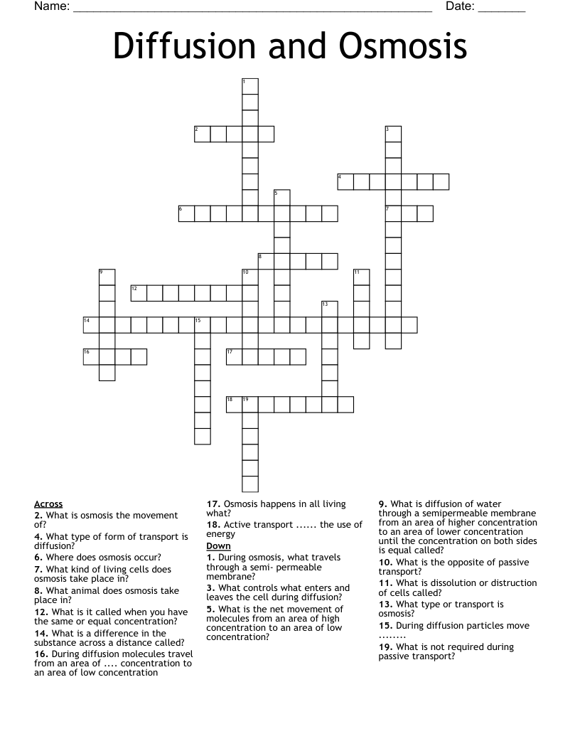 Diffusion And Osmosis Crossword WordMint