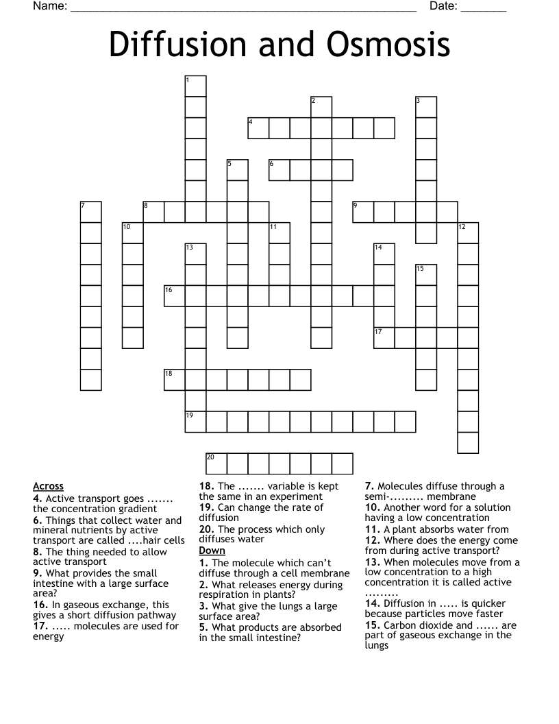 Diffusion And Osmosis Crossword WordMint
