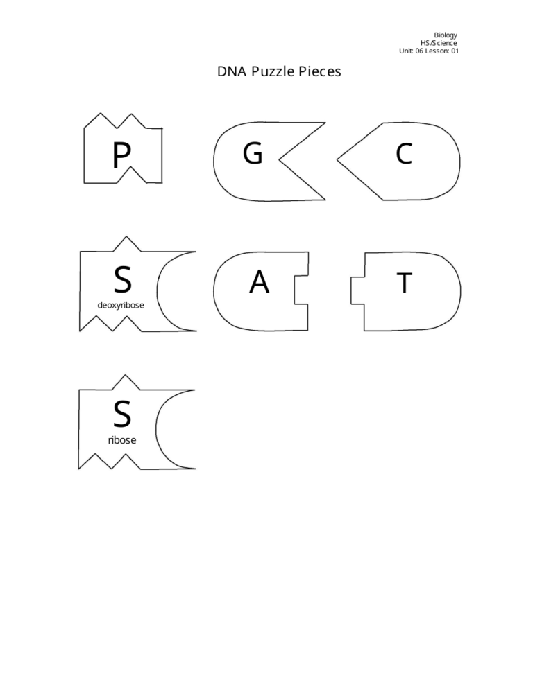 Dna Puzzle Piece Templates Download Printable PDF Templateroller