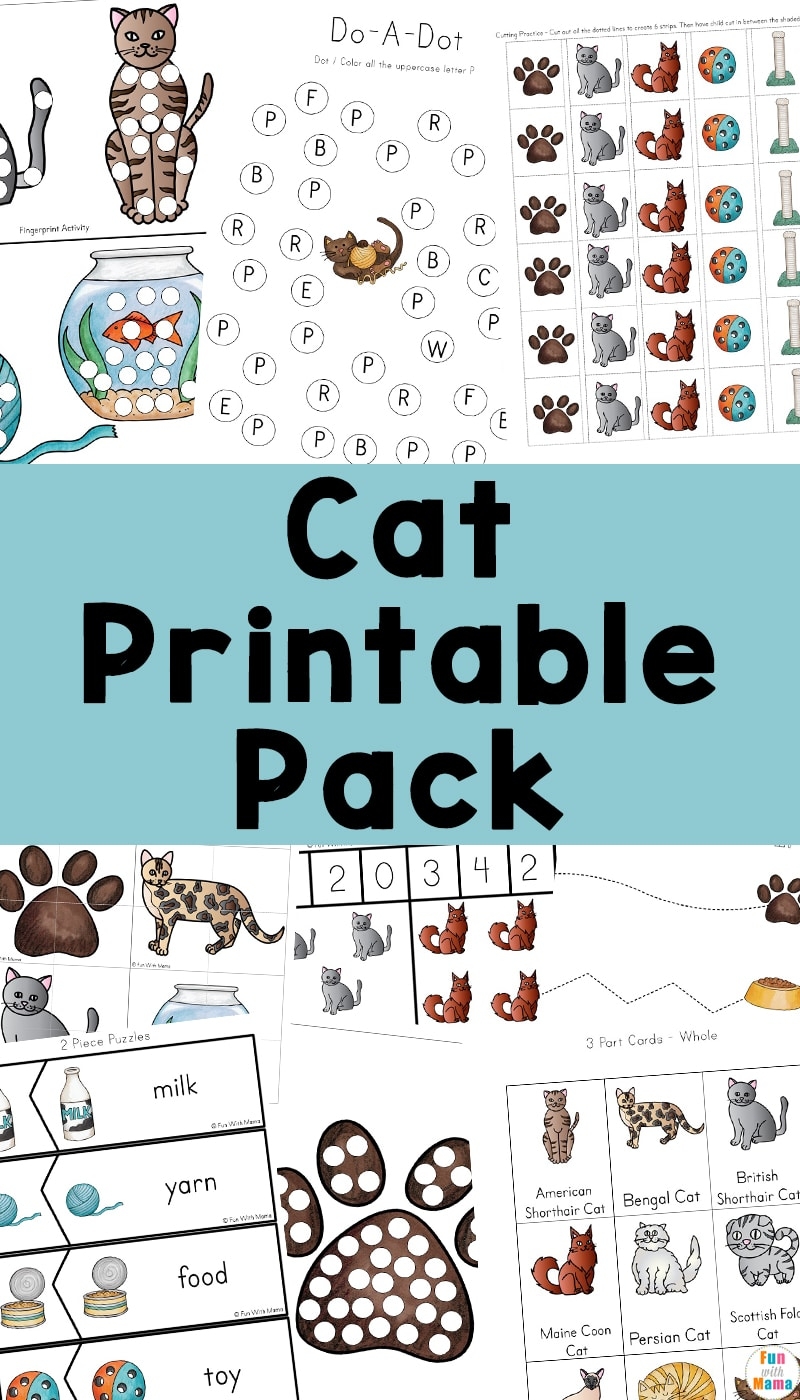 Educational And Fun Cat Printable Pack Preschool Worksheet Printable Fun With Mama Educational And Fun Cat Printable Pack Preschool Worksheet Printable Fun With Mama