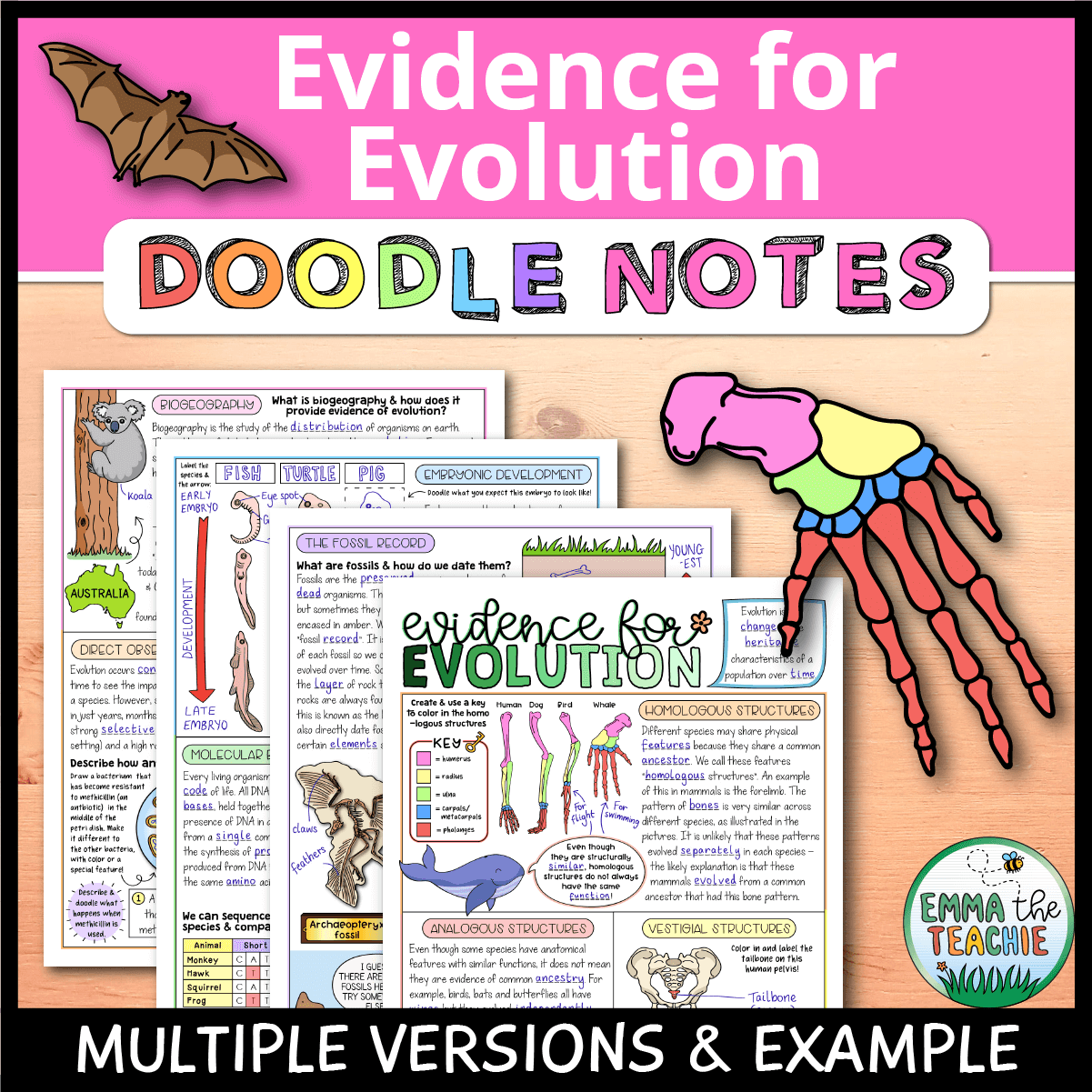 Evolution Puzzle Worksheet