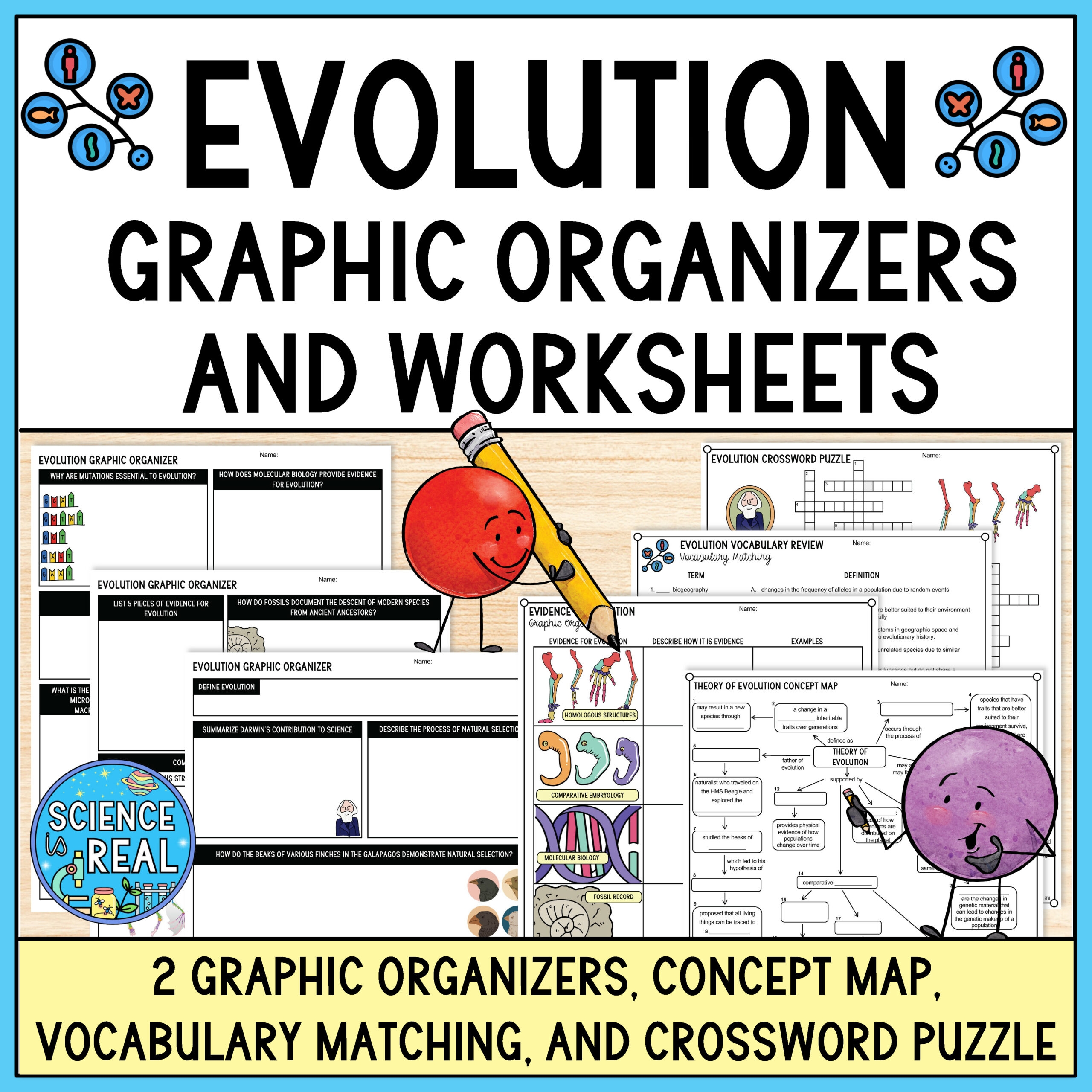 Evolution Graphic Organizer And Evolution Worksheets Classful