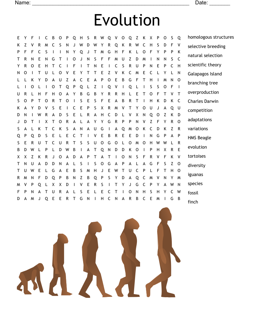 Evolution Puzzles WordMint