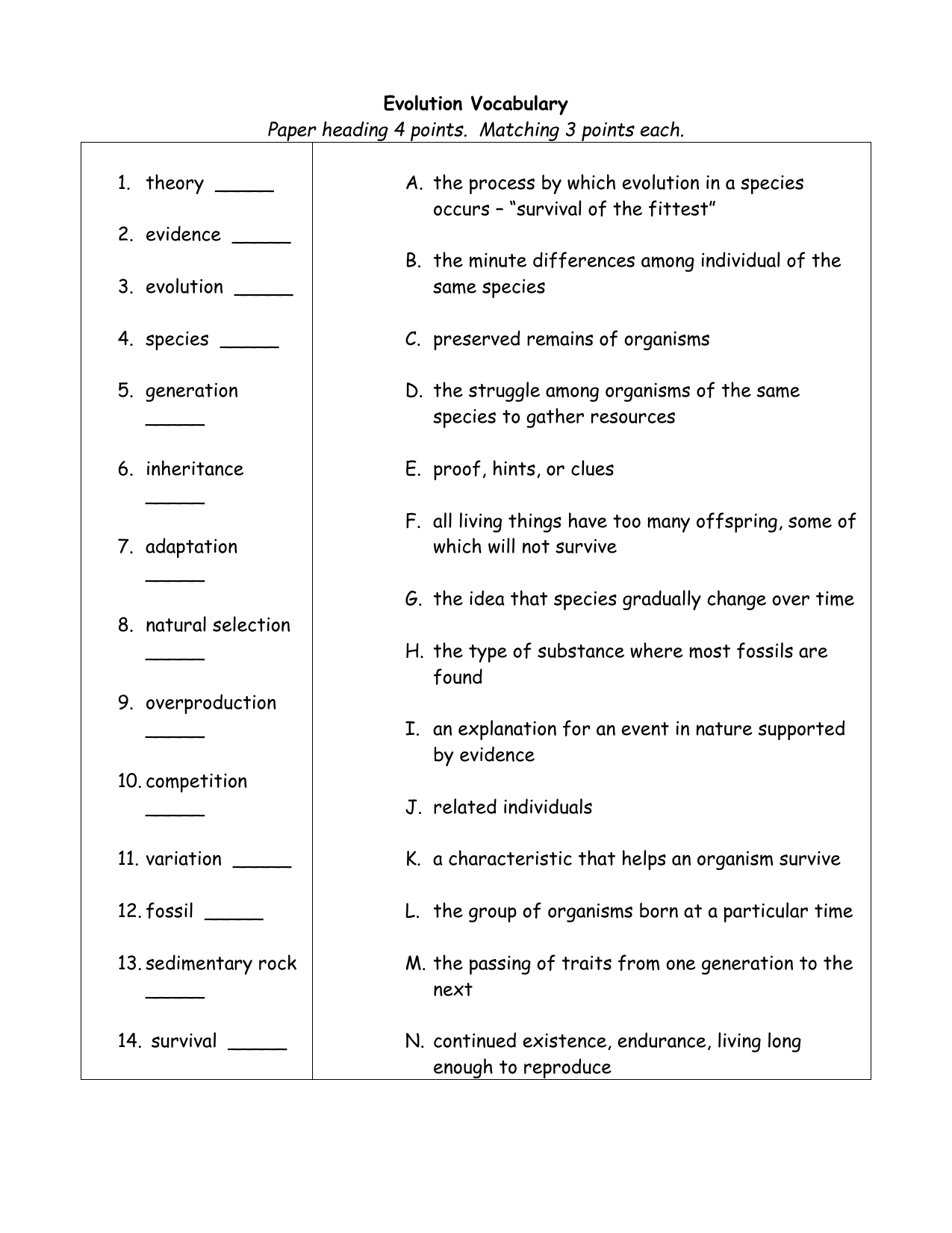 Evolution Vocabulary Worksheet